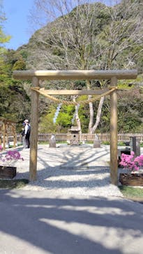 仙巌園に投稿された画像（2025/3/30）