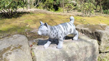 仙巌園に投稿された画像（2025/3/30）