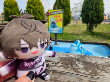 グリーンランドに投稿された画像（2025/3/30）