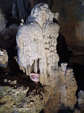 石垣島鍾乳洞に投稿された画像（2025/3/30）