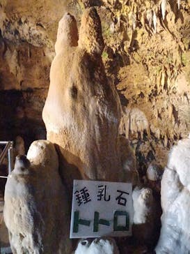 石垣島鍾乳洞に投稿された画像（2025/3/30）