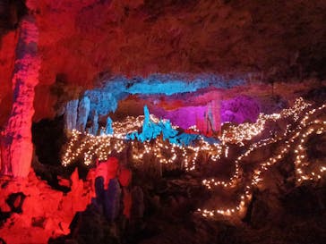 石垣島鍾乳洞に投稿された画像（2025/3/30）