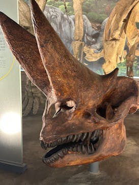 福井県立恐竜博物館に投稿された画像（2025/3/30）