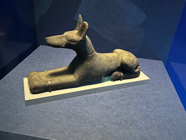 ブルックリン博物館所蔵 特別展 古代エジプトに投稿された画像（2025/3/30）
