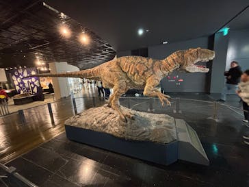 福井県立恐竜博物館に投稿された画像（2025/3/30）