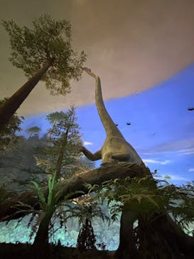 福井県立恐竜博物館に投稿された画像（2025/3/30）