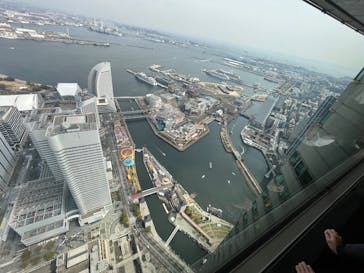 横浜ランドマークタワー 69階展望フロア スカイガーデンに投稿された画像（2025/3/30）