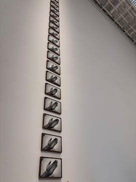 金沢21世紀美術館に投稿された画像（2025/3/30）