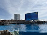 名古屋港水族館に投稿された画像（2025/3/30）