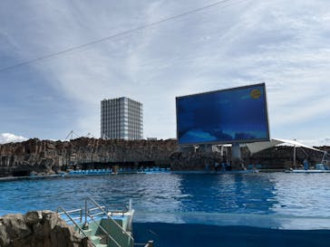 名古屋港水族館に投稿された画像（2025/3/30）