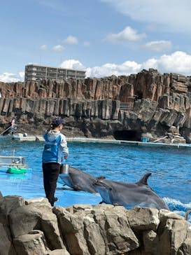 名古屋港水族館に投稿された画像（2025/3/30）