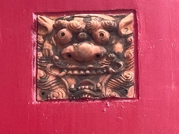 おきなわワールドに投稿された画像（2025/3/30）