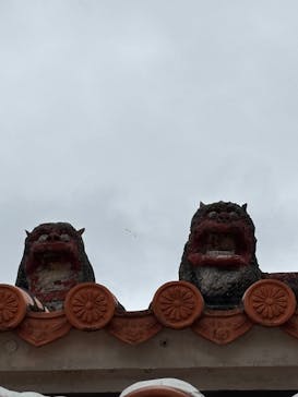 おきなわワールドに投稿された画像（2025/3/30）