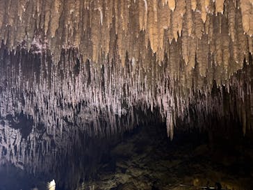 おきなわワールドに投稿された画像（2025/3/30）