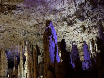 おきなわワールドに投稿された画像（2025/3/30）