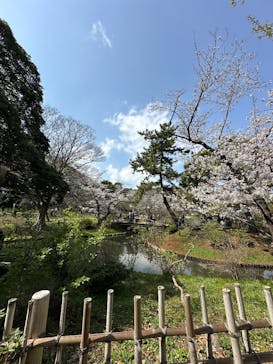 三溪園に投稿された画像（2025/3/30）