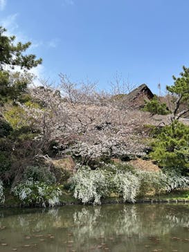 三溪園に投稿された画像（2025/3/30）