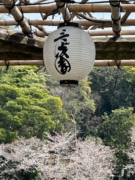 三溪園に投稿された画像（2025/3/30）