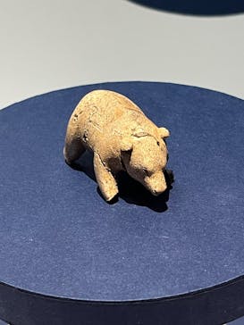 特別展「古代DNA－日本人のきた道」（国立科学博物館）に投稿された画像（2025/3/30）
