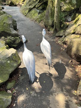 伊豆シャボテン動物公園に投稿された画像（2025/3/30）
