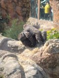 恩賜上野動物園に投稿された画像（2025/3/30）