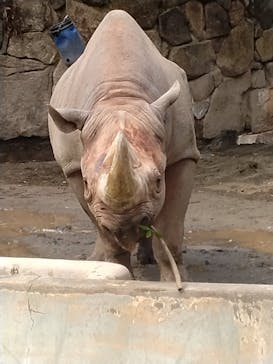 恩賜上野動物園に投稿された画像（2025/3/30）