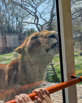 東京動物園協会_多摩動物公園に投稿された画像（2025/3/30）