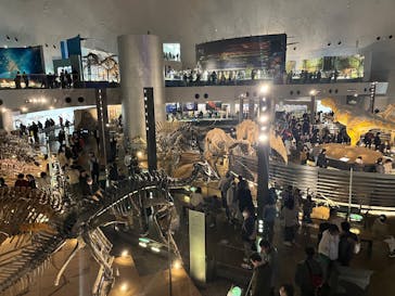 福井県立恐竜博物館に投稿された画像（2025/3/30）