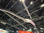 特別展「鳥～ゲノム解析が解き明かす新しい鳥類の系統～」に投稿された画像（2025/3/30）