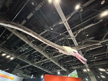 特別展「鳥～ゲノム解析が解き明かす新しい鳥類の系統～」に投稿された画像（2025/3/30）