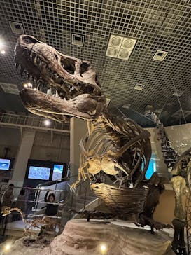 国立科学博物館に投稿された画像（2025/3/30）