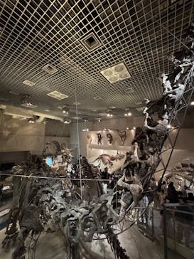 国立科学博物館に投稿された画像（2025/3/30）