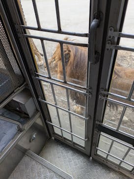 群馬サファリパークに投稿された画像（2025/3/30）