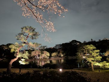 六義園に投稿された画像（2025/3/30）