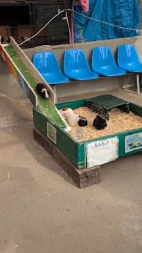 宇都宮動物園に投稿された画像（2025/3/30）