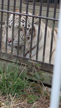 宇都宮動物園に投稿された画像（2025/3/30）