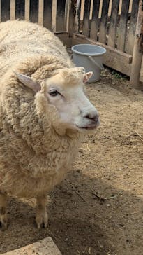 宇都宮動物園に投稿された画像（2025/3/30）