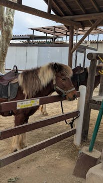 宇都宮動物園に投稿された画像（2025/3/30）