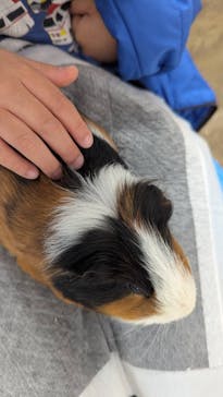 宇都宮動物園に投稿された画像（2025/3/30）