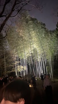 六義園に投稿された画像（2025/3/30）