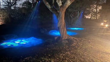 六義園に投稿された画像（2025/3/30）