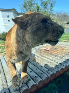 東京動物園協会_多摩動物公園に投稿された画像（2025/3/30）