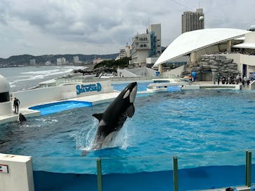 鴨川シーワールドに投稿された画像（2025/3/30）