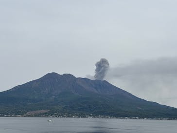 仙巌園に投稿された画像（2025/3/30）