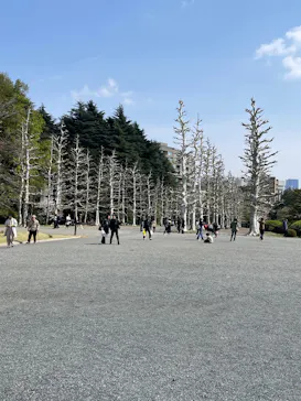 新宿御苑に投稿された画像（2025/3/30）