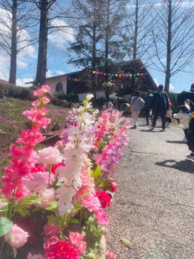 野外民族博物館 リトルワールドに投稿された画像（2025/3/30）