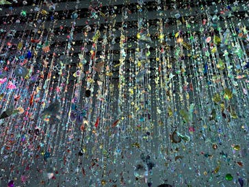 蜷川実花展 with EiM：彼岸の光、此岸の影 NINAGAWA Mika with EiM：Lights of the beyond, Shadows of this worldに投稿された画像（2025/3/30）