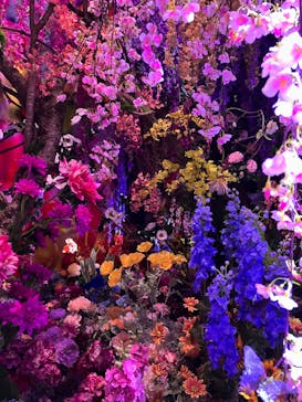 蜷川実花展 with EiM：彼岸の光、此岸の影 NINAGAWA Mika with EiM：Lights of the beyond, Shadows of this worldに投稿された画像（2025/3/30）