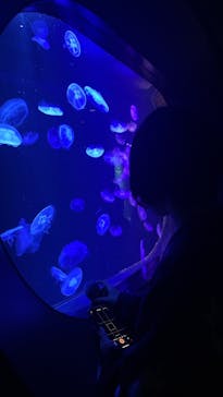 マリンワールド海の中道に投稿された画像（2025/3/30）