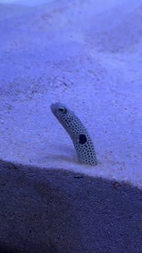 マリンワールド海の中道に投稿された画像（2025/3/30）